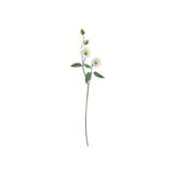 IKEA GULDSPETT Serisi, yapay çiçek, 55 cm, beyaz beyaz #ffffff