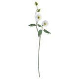 IKEA GULDSPETT yapay çiçek beyaz - 10614975