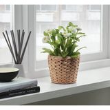 IKEA Hasır Bitki Saksısı Yükseklik 13 cm Dekoratif Saksı Su Sümbülü Saksı Dış Çap 15 cm - Yükseklik: 13 cm Dış çap: 15 cm