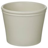IKEA KÖRSBARSBJÖRK toprak saksı açık gri-bej - 00591719