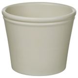 IKEA KÖRSBARSBJÖRK toprak saksı açık gri-bej - 20591718