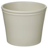 IKEA KÖRSBARSBJÖRK toprak saksı açık gri-bej - 40591736