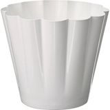 IKEA Kvastspırea Kırık Beyaz 12 cm Çelik Saksı
