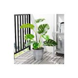 Ikea Monstera Yapay Bitki