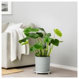 IKEA NYPON plastik saksı gri - 00395624