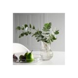IKEA Padrag 17 cm Saydam Cam Vazo