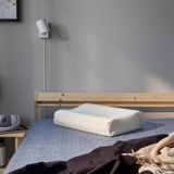 IKEA PAPEGOJBUSKE ergonomik yastık beyaz