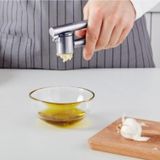 IKEA Paslanmaz Çelik Sarımsak Ezici Kaliteli Sarımsak Ezici Yeni Model 963583