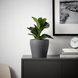 IKEA PERSILLADE toprak saksı koyu gri - 00525611