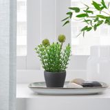 IKEA PERSILLADE toprak saksı koyu gri - 40510896