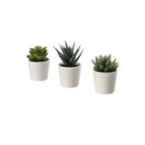 Ikea Premium Ürün Kaliteli Tasarım Göz Alıcı Kolay Temizlik 3 Adet 6 Cm Saksılı Yapay Bitki Kaktüs Fejka