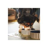 IKEA Quality Mama Kabı Altlığı 50x33 Cm Evcil Hayvan Su Kabı Için Altlık Kedi Köpek Yemek Kabı Matı