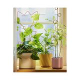 Ikea Quick 2 Adet Bitki Desteği Yükseklik: 64 Cm Ve 55 Cm Saksı İçi Bitki Destekleme Demiri Metal Destek