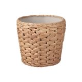 IKEA Rattan Saksı 12 cm Su Sümbülü
