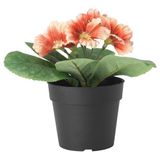 IKEA Saksılı Yapay Bitki Çuha Çiçeği,MeridyenDukkan 9 cm, İç/Dış Mekan