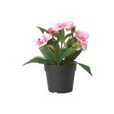 IKEA Saksılı Yapay Bitki Pembe Balsam Çiçeği 9 cm İç/Dış Mekan