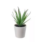 Ikea Saksılı Yapay Bitki, Yeşil, 6 Cm, Kaktüs