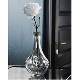 Ikea Şeffaf Cam Vazo Yükseklik: 17 Cm İkea Çiçek Vazosu Bitki Vazosu