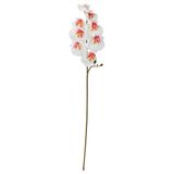 IKEA SMYCKA yapay çiçek beyaz - 10587156