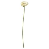 IKEA SMYCKA yapay çiçek beyaz - 80606038