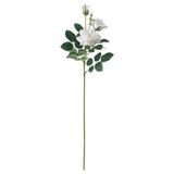 IKEA SMYCKA yapay çiçek beyaz - 90560148