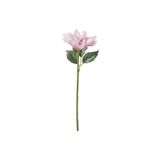 Ikea Smycka Yapay Çiçek, Pembe, 30 Cm, Yıldız Çiçeği, İç/Dış Mekan