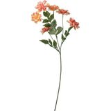 Ikea Smycka Yapay Çiçek Turuncu 66 cm Yıldız Çiçeği 60606058 - Çok Renkli