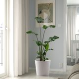 IKEA SOJABÖNA toprak saksı beyaz - 20533592