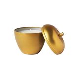 IKEA VINTERFINT Metal Kutuda Kokulu Mum, Altın Rengi, Vanilya Tarçın Tatlı Elma, 9 cm
