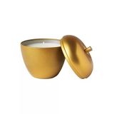 IKEA VINTERFINT Metal Kutuda Kokulu Mum, Altın Rengi, Vanilya Tarçın Tatlı Elma, 9 cm