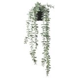 IKEA Yapay Bitki Okaliptüs Bitkisi 9 Cm İç/Dış Mekan,Sarkıt Bitki,Yeşil
