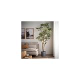 IKEA yapay bitki, yeşil, 23 cm, Benjamin, iç/dış mekan