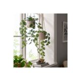 Ikea Yapay Bitki, Yeşil, 9 Cm, Monstera, İç-Dış Mekan