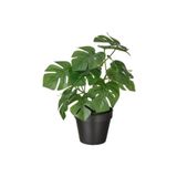 IKEA Yapay Devetabanı Bitkisi 12cm Monstera Çiçeği Iç-dış Mekana Uygun