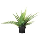 IKEA Yapay Eğreltiotu Bitkisi 9 Cm Yapay Bitki Ev Dekorasyon