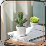 Ikea Yapay Fejka Kaktüs - 6 CM