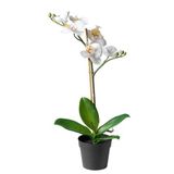 IKEA Yapay Orkide Beyaz 9 Cm MeridyenDukkan 9 cm Yapay Çiçek Orkide