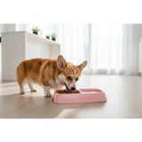 İkili Büyük Kedi Köpek Mama Kabı Ayrı Bölmeli Tasarım Pratik Beslenme
