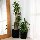 Ikili Dekoratif Jüt Saplı Hasır Sepet Saksı 30 cm ve 25 cm , Dekoratif Saksı ve Havluluk - 30 x 30 - Siyah