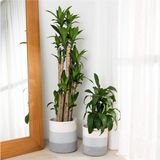 Ikili Dekoratif Jüt Saplı Hasır Sepet Saksı 30 cm ve 25 cm , Dekoratif Saksı ve Havluluk - Gri - Beyaz - 30 x 30