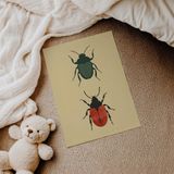 İkili Renkli Böcekler Çocuk Odası Duvar Posteri Çerçeveli Tablo Duvar Dekorasyonu - 30 x 40 - Çerçevesiz Poster