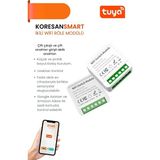 Ikili Wifi Tuya Röle Modülü
