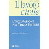 Il lavoro civile. L'occupazione nel terzo settore (Le guide del non profit)