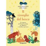 Il risveglio del bosco. La saggezza di 12 favole nordiche per illuminare e riscaldare ogni cuore. Ediz. illustrata