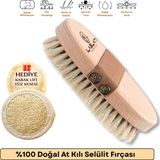 İlaslan Kozmetik %100 Doğal At Kılı Selülit Fırçası Batık Tüy ve Çatlak Görünümüne Karşı Vücut Bakım Fırçası