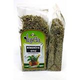 Ilayda Biberiye Otu (Rosmarinus Officinalis) - Bitki Çayı