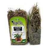 Ilayda Yoğurt Otu Yapışkan Ot (galium Aparine Verum)