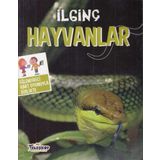 İlginç Hayvanlar - Eğlendirici Kart Oyunuyla Birlikte - Kolektif