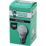 İlk El Grup Ieg™ Moss Lıght 12W Beyaz LED Ampul E27 960LM 6500K