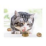 İlk El Grup Kedi Nanesi (Catnip) Oyun Topu